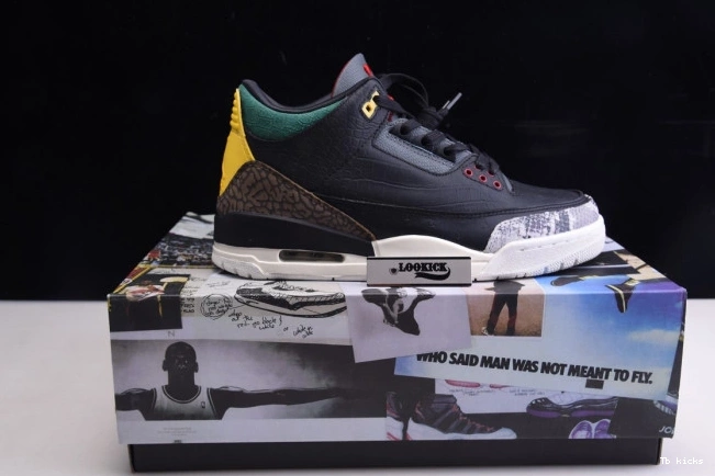 Reps TBK 3 Air 2.0 Jordan SE Retro CV3583-003 Instinct Animal - 0812